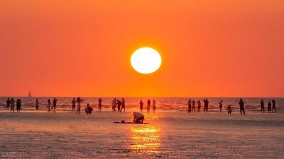 ​哇！上海这些海边景点竟然如此惊艳？