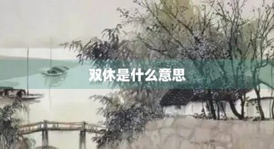​双休是什么意思(大小周双休是什么意思)