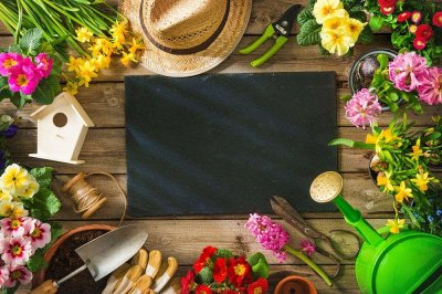 ​黄花菜的做法大全