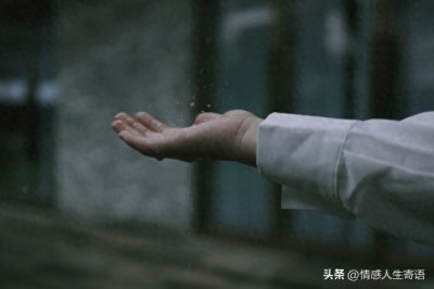 ​匆匆一年又要过去了的感慨句子