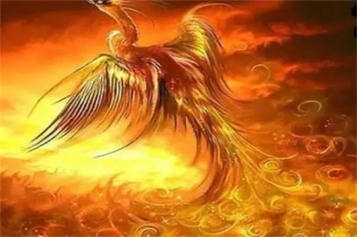 ​凤凰命的女人什么意思