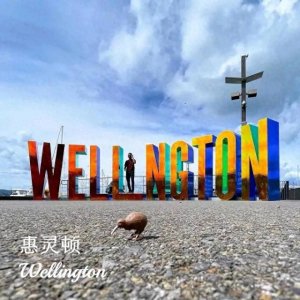 ​新西兰首都——惠灵顿