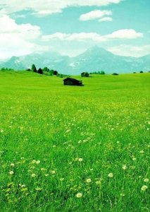 ​2023年哈尔滨市重点高中排名出炉