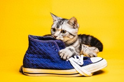 ​搞笑网名昵称，笑到抽筋的微信名字，搞怪又搞笑无厘头名字