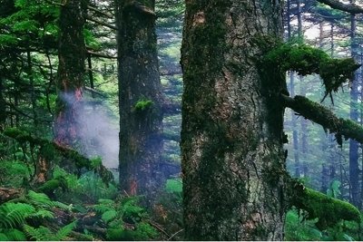 ​四川黄泉路：国内一级禁区，政府下令封禁400余年，谜团至今未解