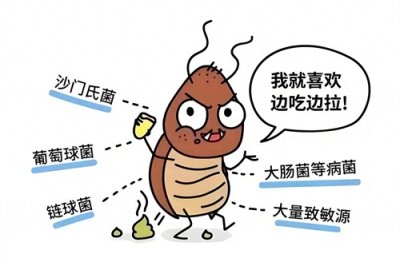 ​家里有蟑螂，如何有效消灭？