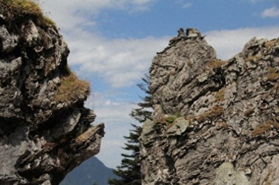 ​神农架“野人之谜”：为什么科学家至今无法证实？