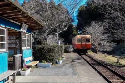 ​从北到南看日本｜第九期：千叶县，东日本的农业王国