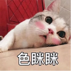 ​你有哪些专属撩妹套路的表情包？（第一弹）