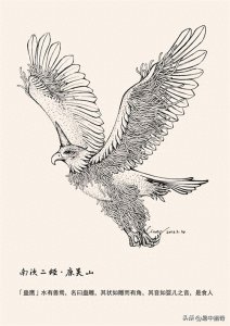 ​《山海经》中的蛊雕：猛兽还是萌兽？