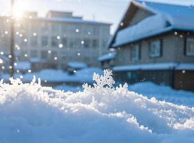 ​今年冬天，将出现大雪封门？听听谚语怎么说，答案来了！
