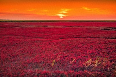 ​中国传统色——正红色