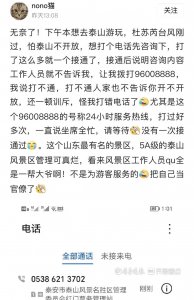 ​泰山咨询热线难打通？常见问题有语音提示，人工服务需多次回拨