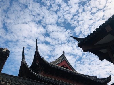 ​「合集推荐」10本男主太监文（二）