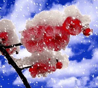 ​寒冬说“恓惶”