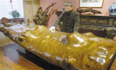 ​我国唯一一颗降龙树，存活了250万年，日本曾出资1亿打算购买