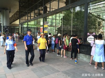 ​暑期旺季来临，北京动物园、城管首次联合执法劝阻“乱投喂”行为