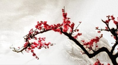 ​陆游的《卜算子·咏梅》诗赏析