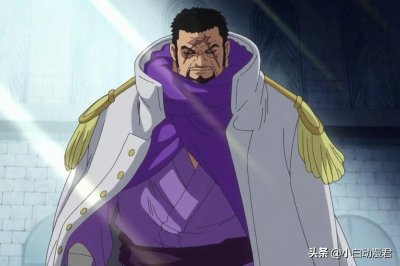 ​海贼王，浅析藤虎在德