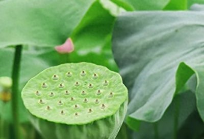 ​体制内哪些职位、级别