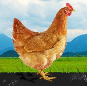 ​注意好这七个细节，保