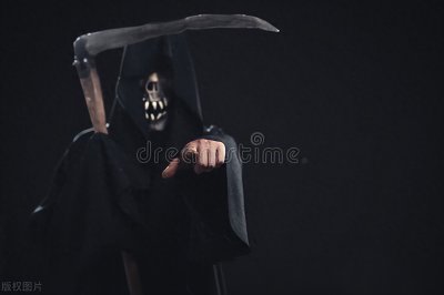 ​一个被智商耽误的奖项