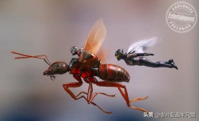 ​蚁人完整的故事【2】黄蜂女登场，妈妈比女儿还漂亮