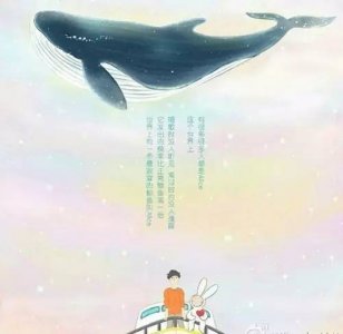 ​孤独的52赫兹鲸「有故事的人」