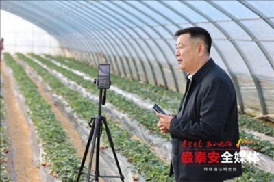 ​新春走基层丨小草莓甜