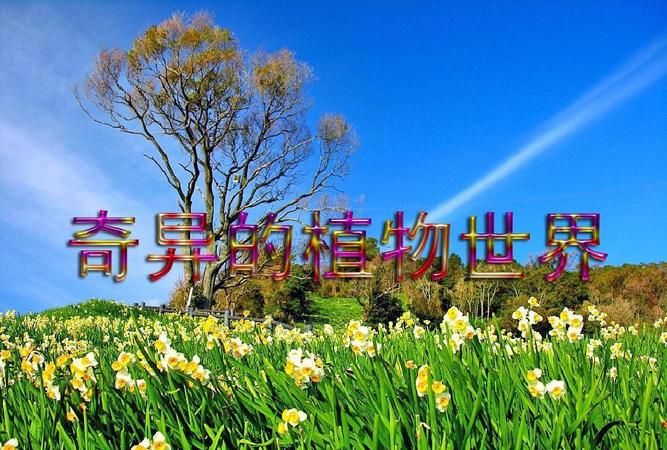 小节是什么标点符号