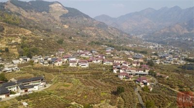 ​趣说天府春耕④｜阳光