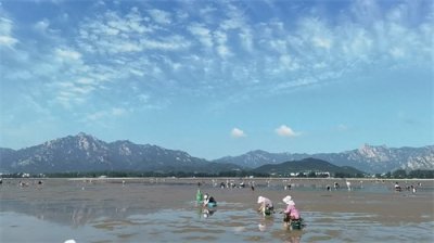 ​来青岛玩，赶海地方怎