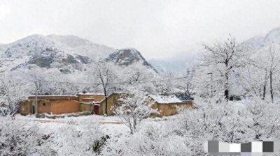 ​今年数九时间表来了！