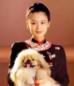 ​20年前陈红的沙发照，美