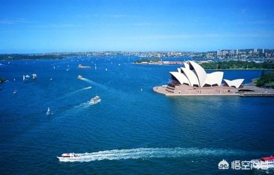 ​奇趣澳洲原创：澳大利