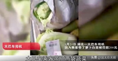 ​乘客带两颗白菜坐大巴