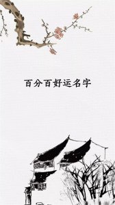 ​100分的超好听宝宝名，