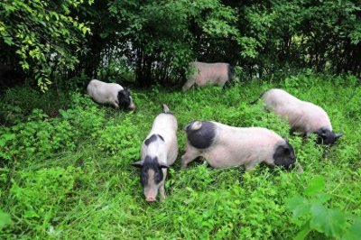 ​投资几千元就可以做，