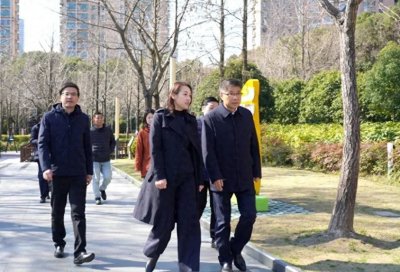 ​区领导赴万里街道、曹